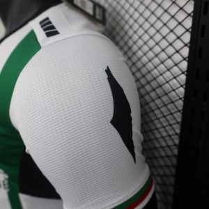 2024/2025 Player Version Palestine Home Football Shirt 1:1 Thai Quality