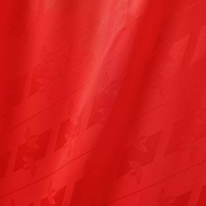 2024/2025 Flamengo Commemorative Edition Football Shirt 1:1 Thai Quality