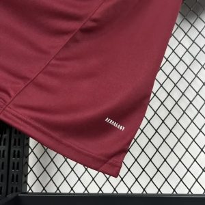 2024/2025 Roma Special Edition Soccer Jersey 1:1 Thai Quality