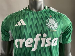 2024/2025 Player Version Palmeiras Special Edition Jersey 1:1 Thai Quality